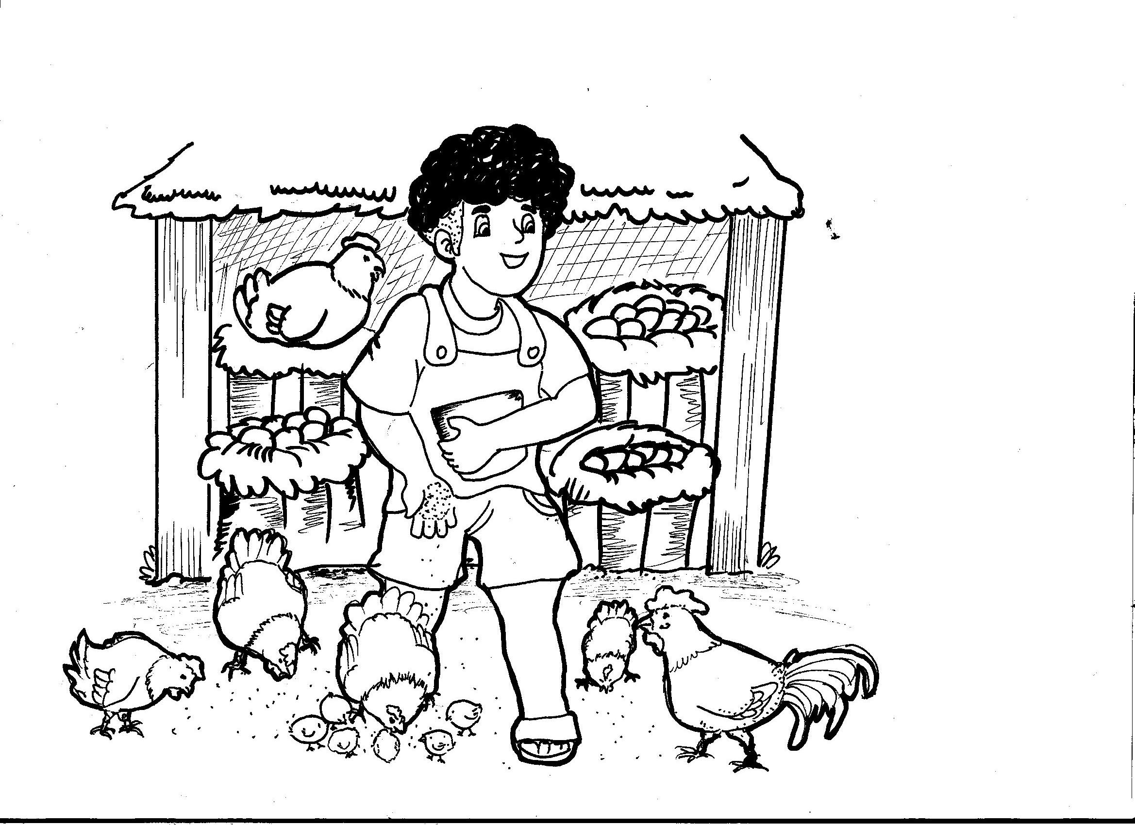 boy feeding chickens
